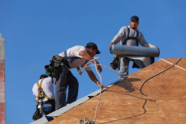 Best Commercial Roofing Services  in Hawaiian Acres, HI